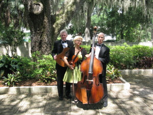 Hiring Wedding Musicians, String Trio