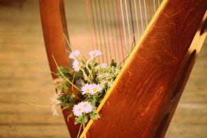 Traditional wedding ceremony music, Orlando harp