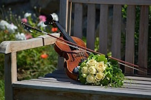 string wedding music, violin